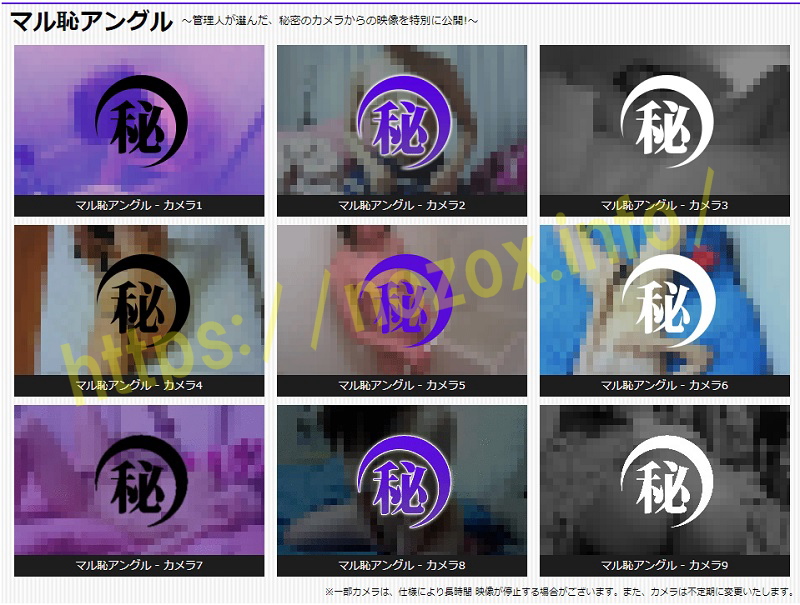 �}���p�A���O���J����